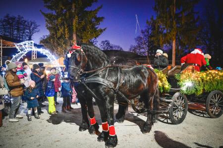 Božiček in žive jaslice (76)